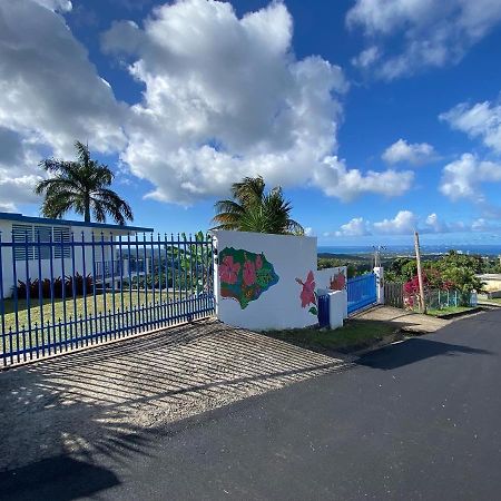 Million Dollar View In Puerto Rico Villa Luquillo Ngoại thất bức ảnh