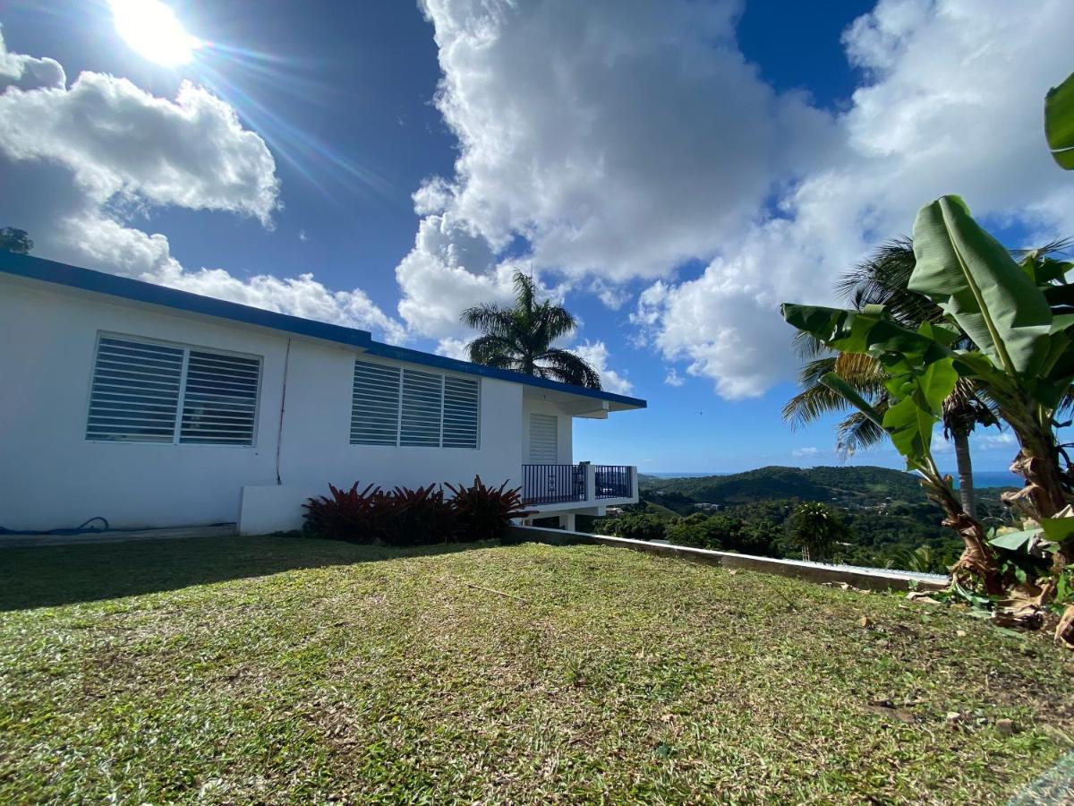 Million Dollar View In Puerto Rico Villa Luquillo Ngoại thất bức ảnh