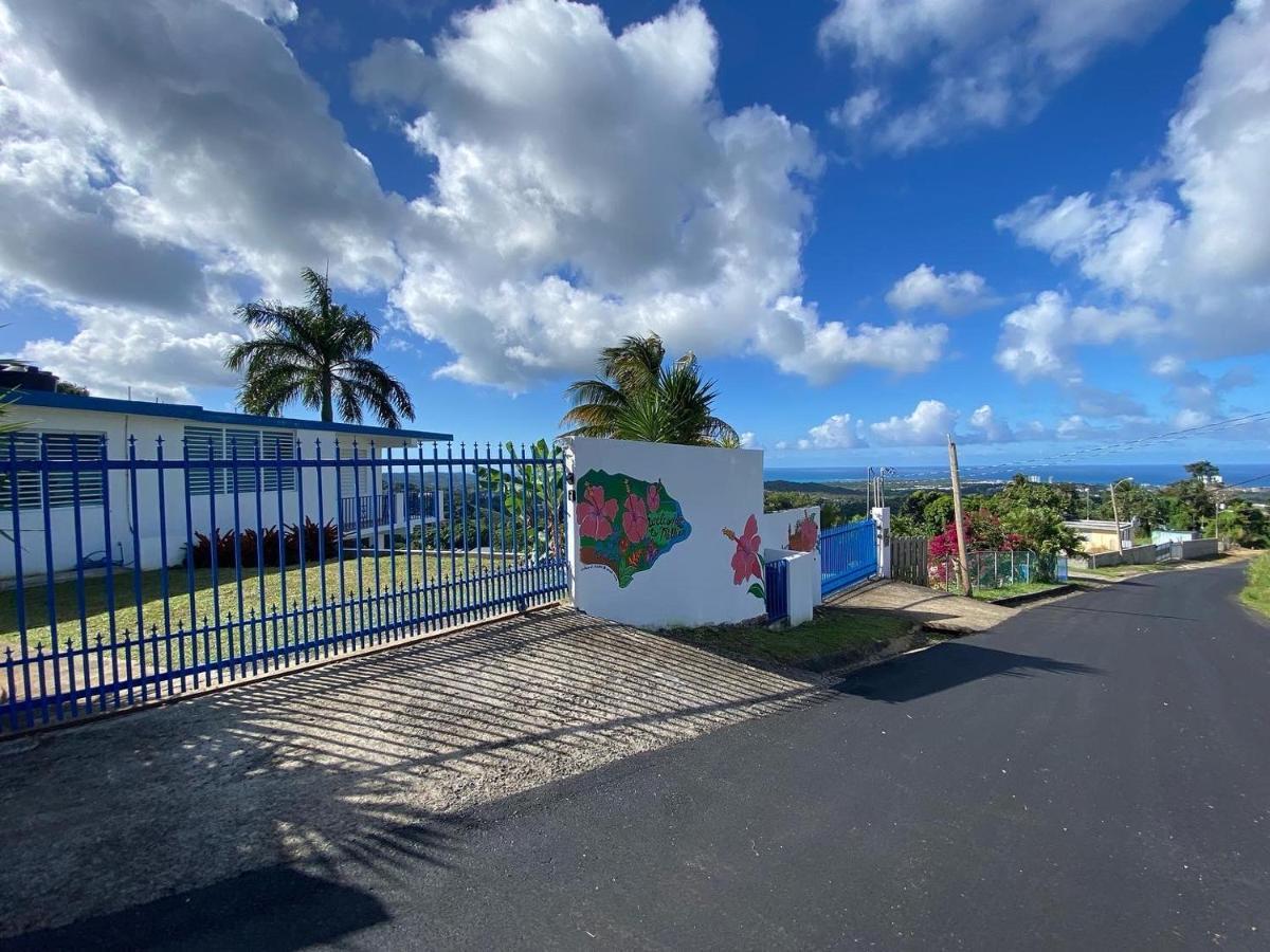 Million Dollar View In Puerto Rico Villa Luquillo Ngoại thất bức ảnh