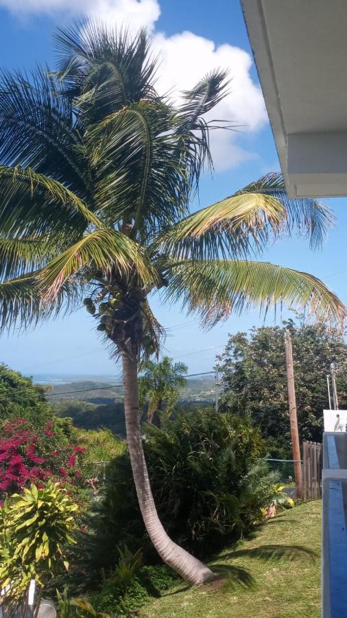 Million Dollar View In Puerto Rico Villa Luquillo Ngoại thất bức ảnh