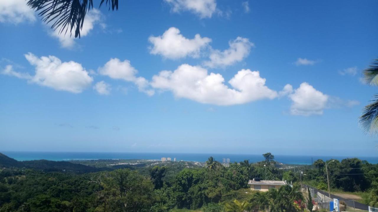 Million Dollar View In Puerto Rico Villa Luquillo Ngoại thất bức ảnh