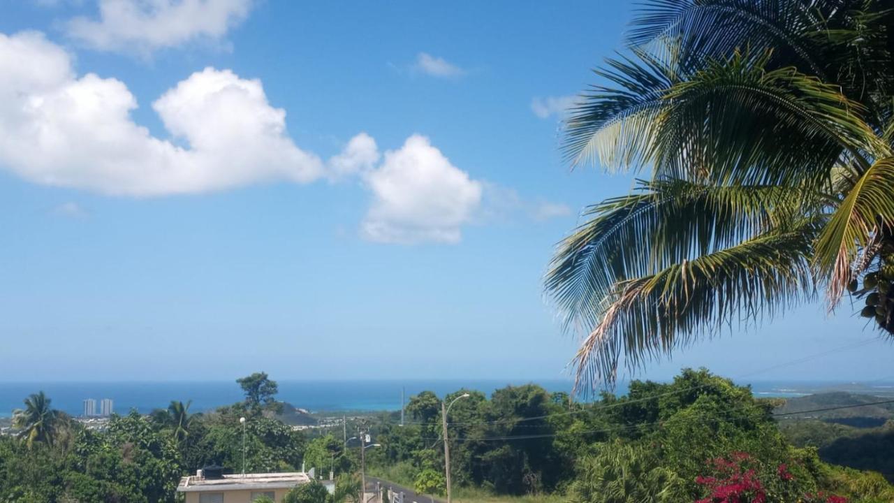 Million Dollar View In Puerto Rico Villa Luquillo Ngoại thất bức ảnh