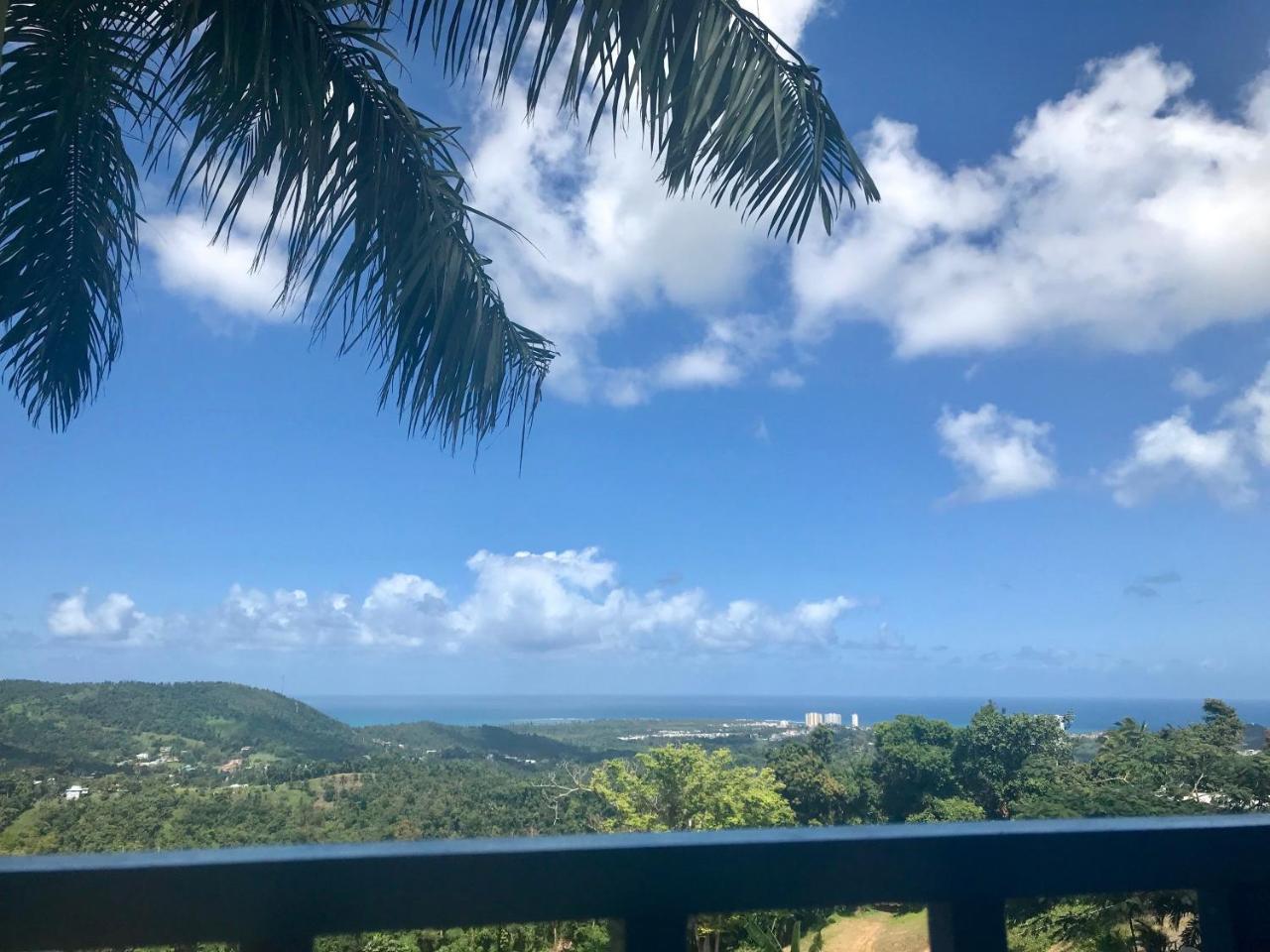Million Dollar View In Puerto Rico Villa Luquillo Ngoại thất bức ảnh