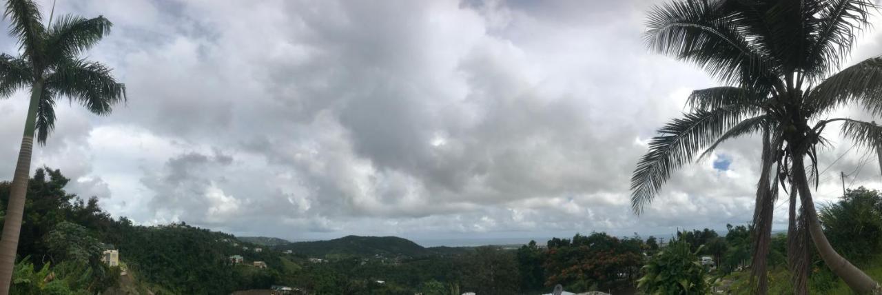 Million Dollar View In Puerto Rico Villa Luquillo Ngoại thất bức ảnh