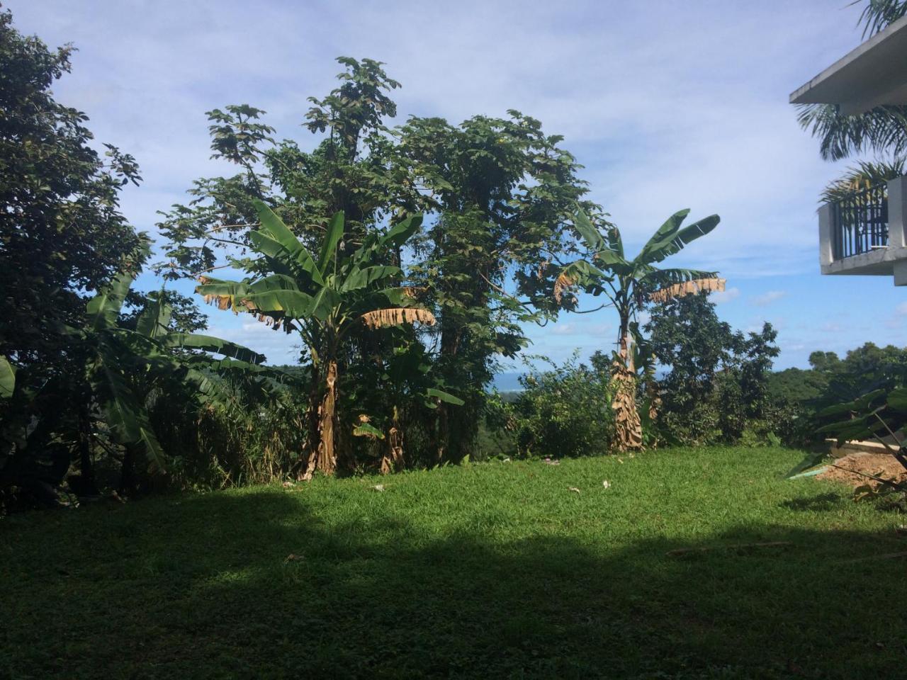 Million Dollar View In Puerto Rico Villa Luquillo Ngoại thất bức ảnh